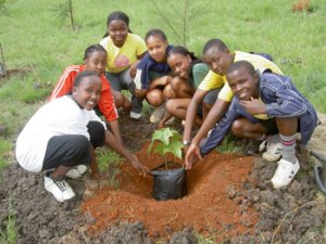 Pupils from Juja Preparatory School plant trees